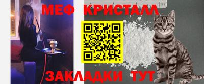 шишки Камышлов