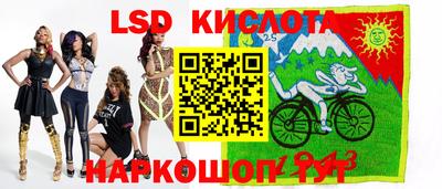 шишки Камышлов