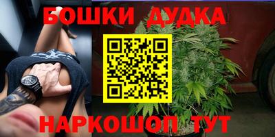 apvp Канаш