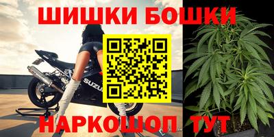 шишки Камышлов