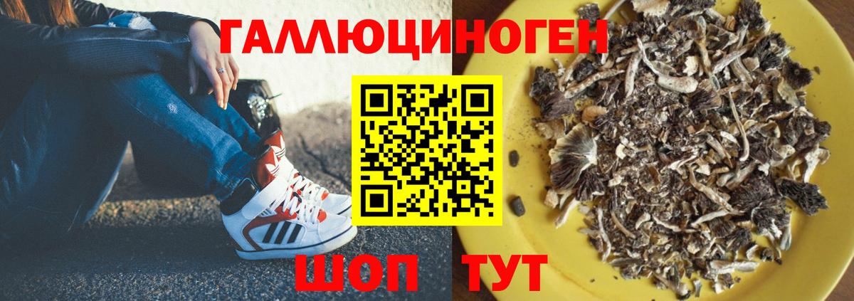 Галлюциногенные грибы мицелий Волхов